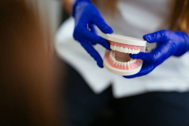 Bluffton, SC Dental Services Company